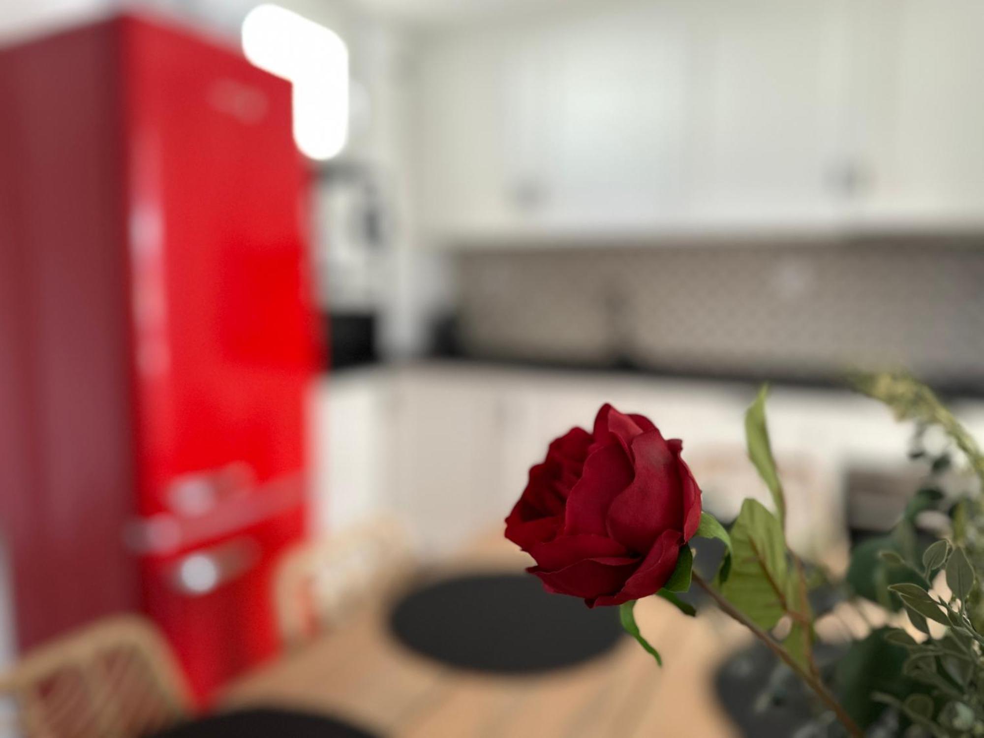 Adeva Centrico 3 Habitaciones Jerez de la Frontera Dış mekan fotoğraf